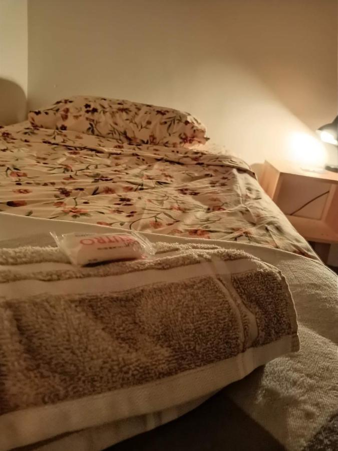 Hostal Del Centro En Slp San Luis Potosí Dış mekan fotoğraf