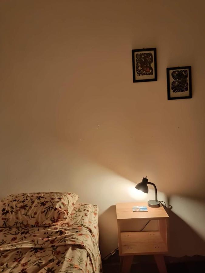 Hostal Del Centro En Slp San Luis Potosí Dış mekan fotoğraf